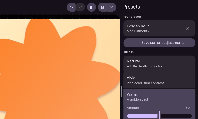 The Presets panel with a saved preset above the built-in looks, the Warm look applied to the photo beside it