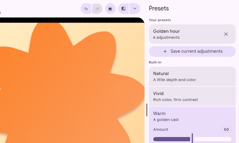 The Presets panel with a saved preset above the built-in looks, the Warm look applied to the photo beside it